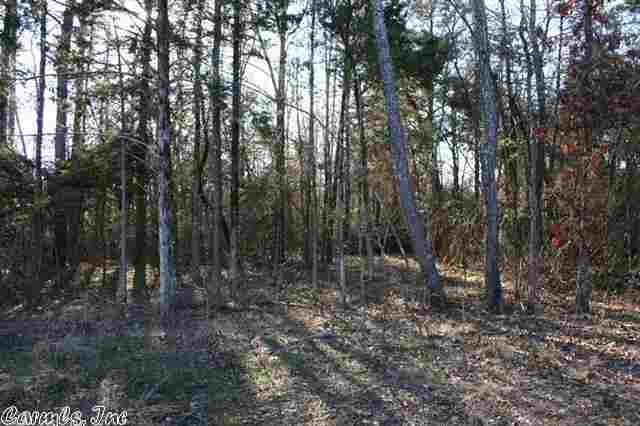 3825 Donnell Ridge  Conway, AR