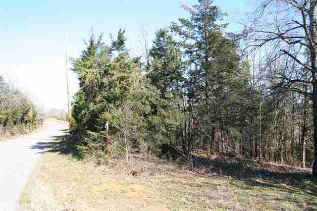 3825 Donnell Ridge  Conway, AR