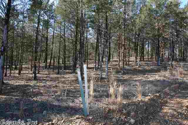 3825 Donnell Ridge  Conway, AR