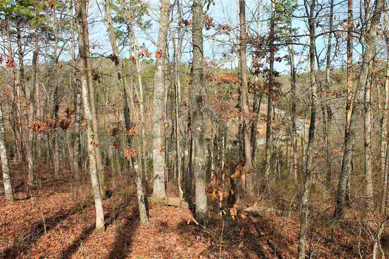 Lot 5  Mountain Aire East Lakeside  Heber Springs, AR