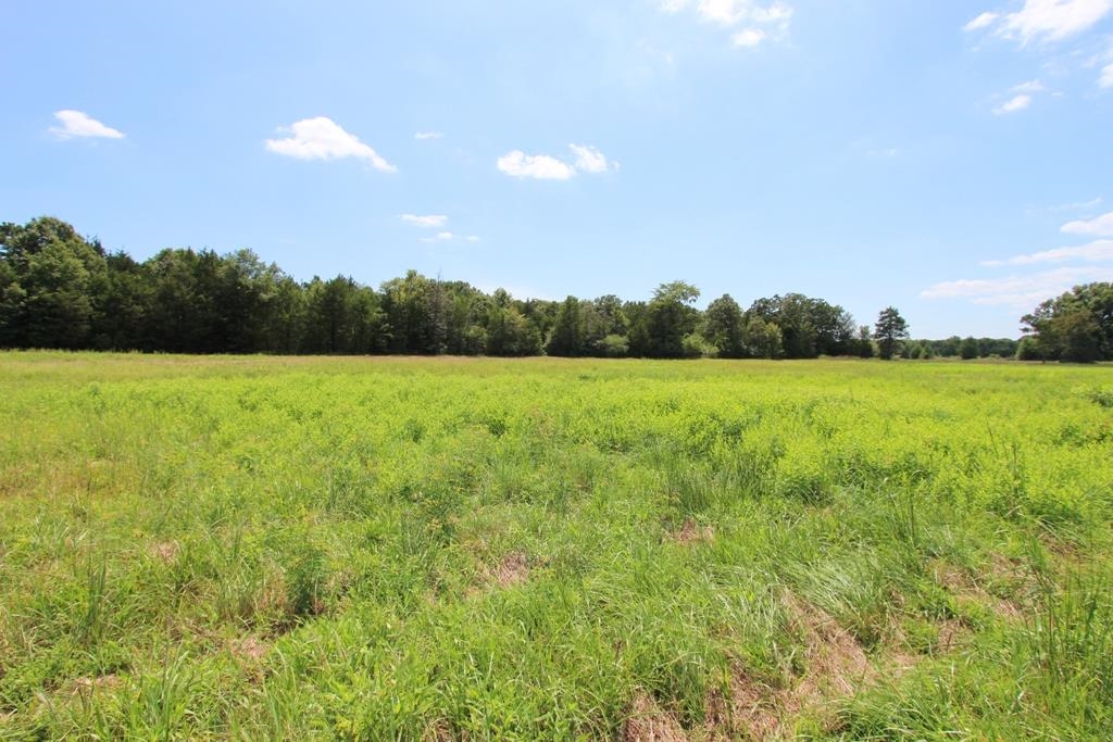 4025  Dave Ward  Conway, AR
