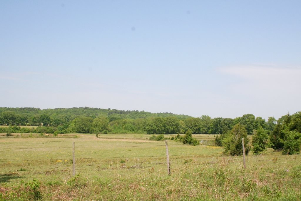 260  Sturgis  Conway, AR