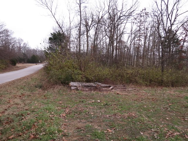 00  Maple  Bull Shoals, AR