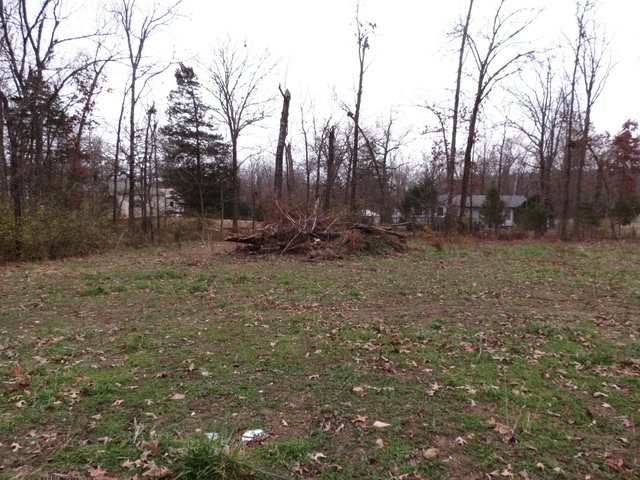 00  Maple  Bull Shoals, AR
