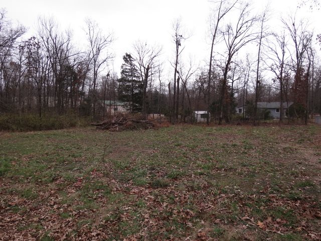 00  Maple  Bull Shoals, AR