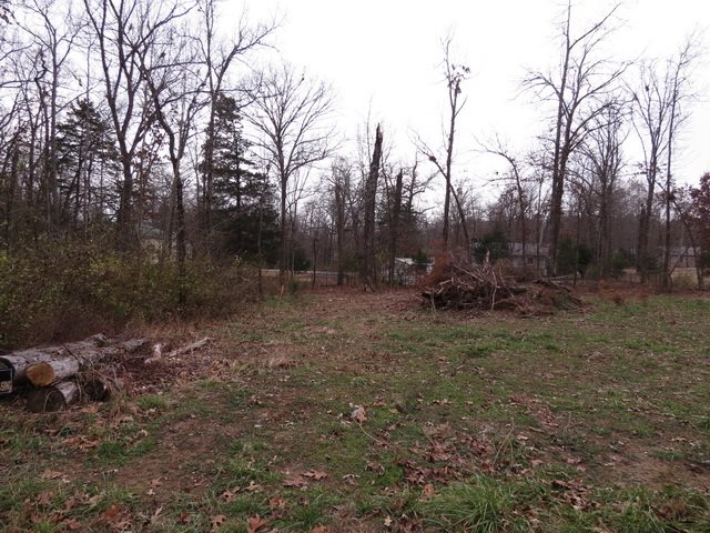 00  Maple  Bull Shoals, AR