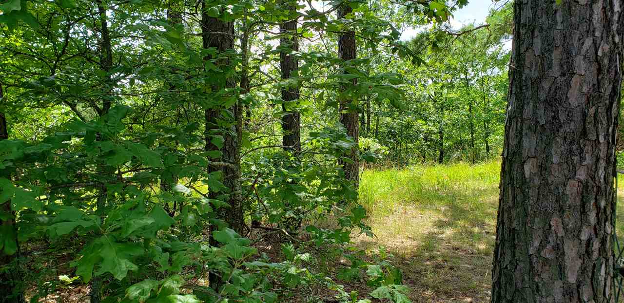 McDermott Trail