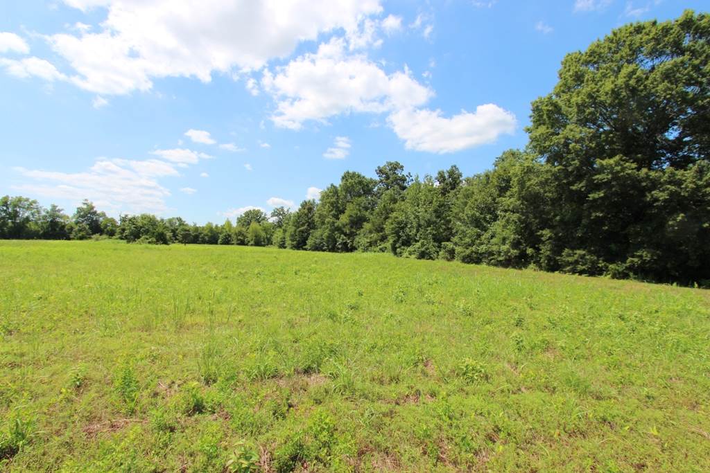 4050  Dave Ward  Conway, AR
