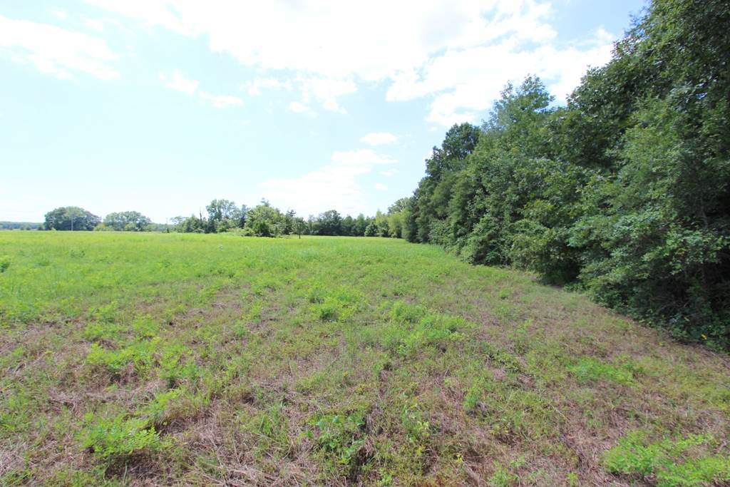 4050  Dave Ward  Conway, AR