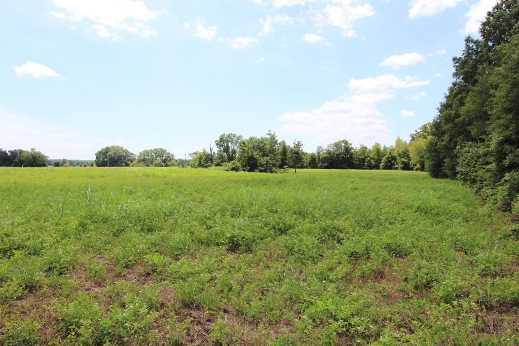 4050  Dave Ward  Conway, AR