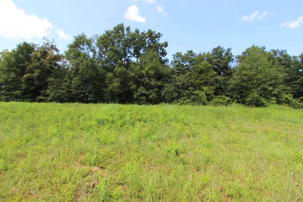 4050  Dave Ward  Conway, AR
