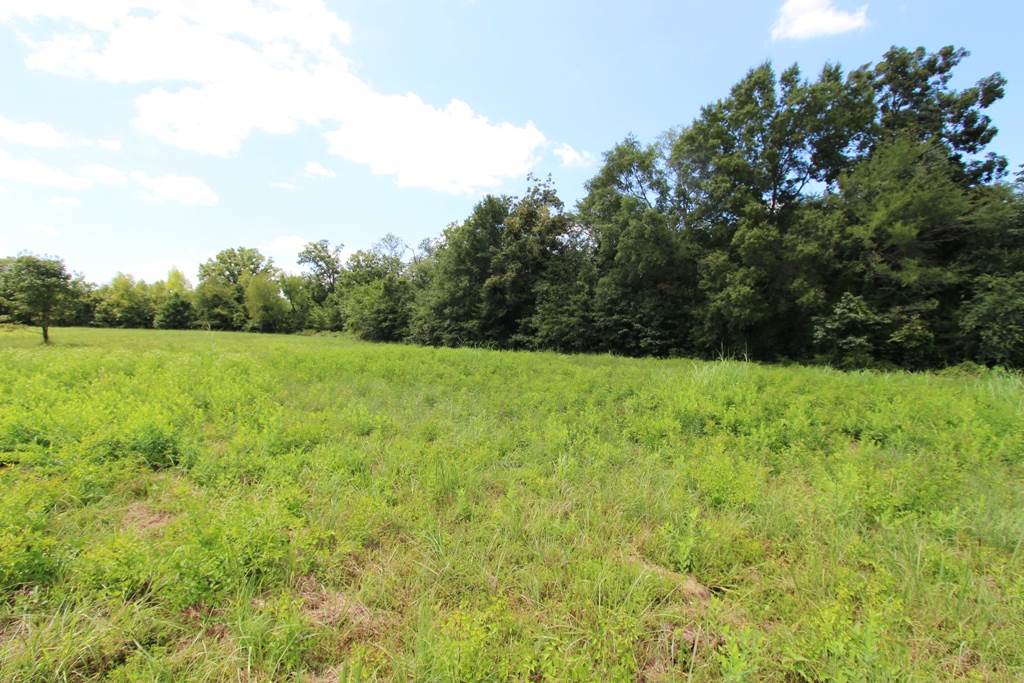 4050  Dave Ward  Conway, AR