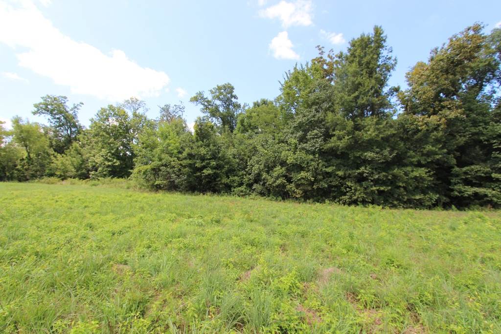 4050  Dave Ward  Conway, AR