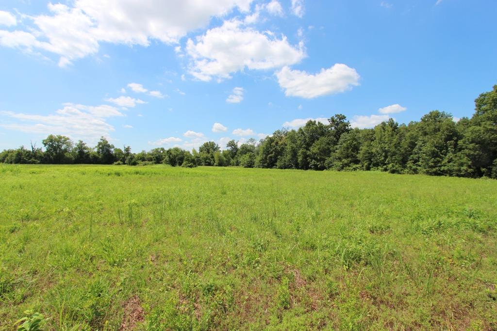 4050  Dave Ward  Conway, AR