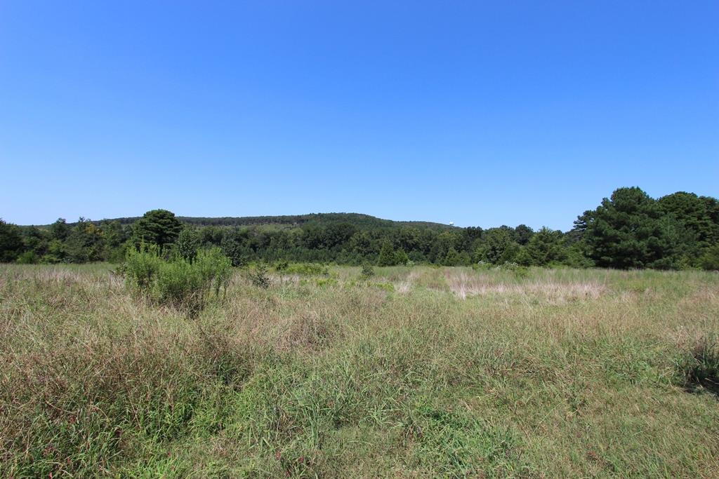 960  Doy B  Conway, AR