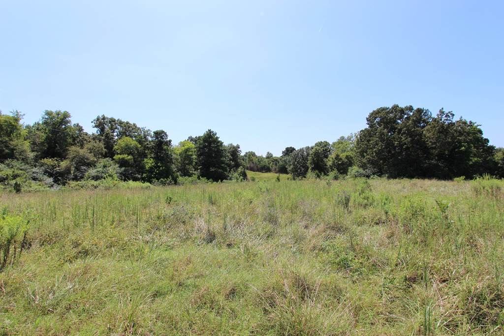960  Doy B  Conway, AR