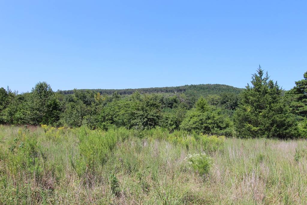 960  Doy B  Conway, AR