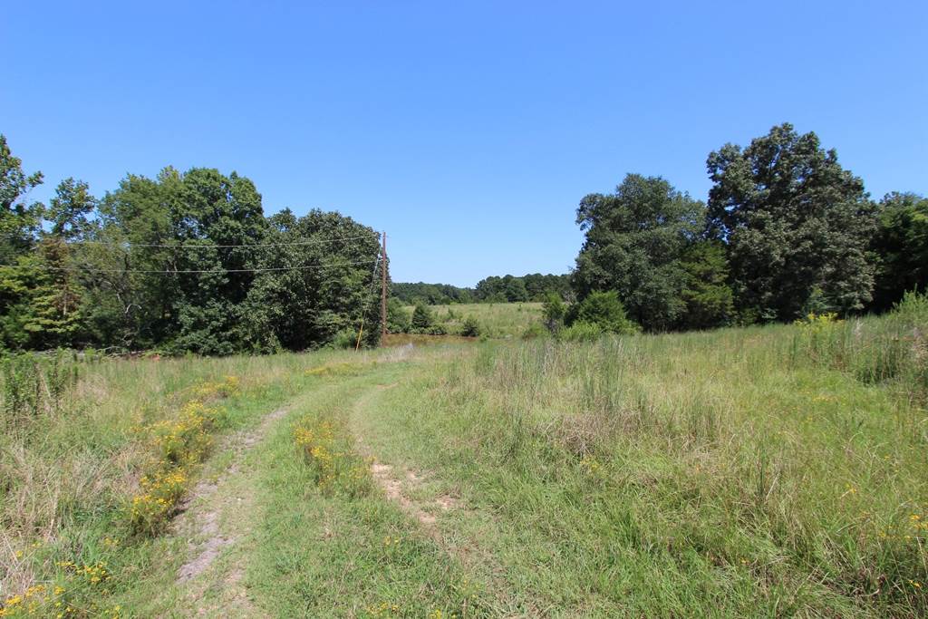 960  Doy B  Conway, AR