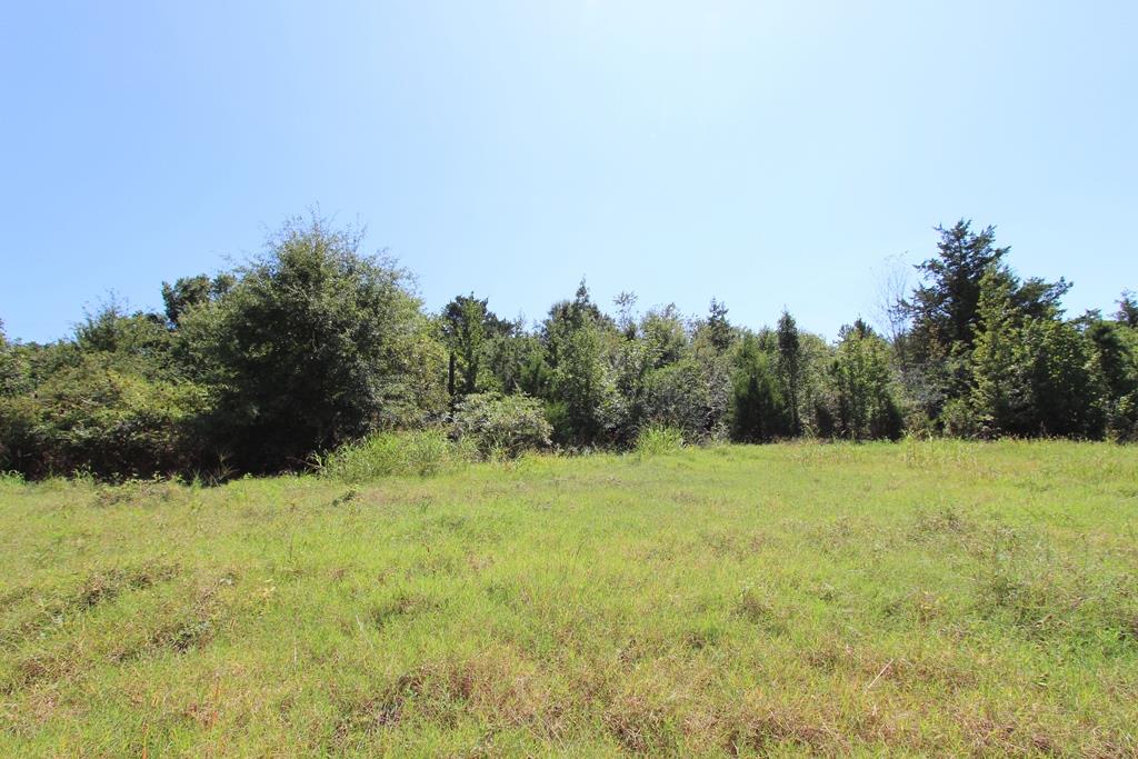 960  Doy B  Conway, AR