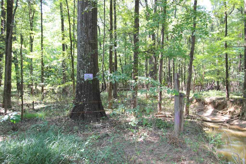 960  Doy B  Conway, AR