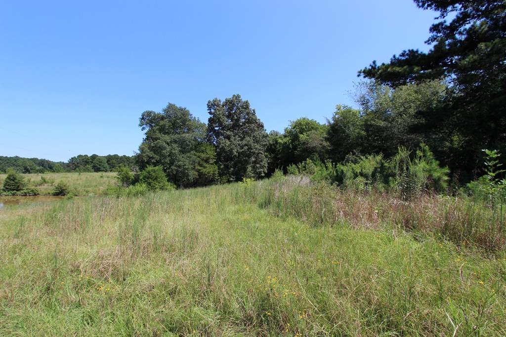 960  Doy B  Conway, AR