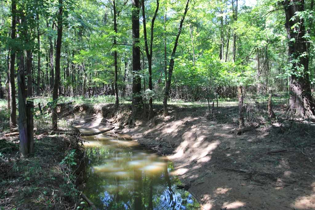 960  Doy B  Conway, AR