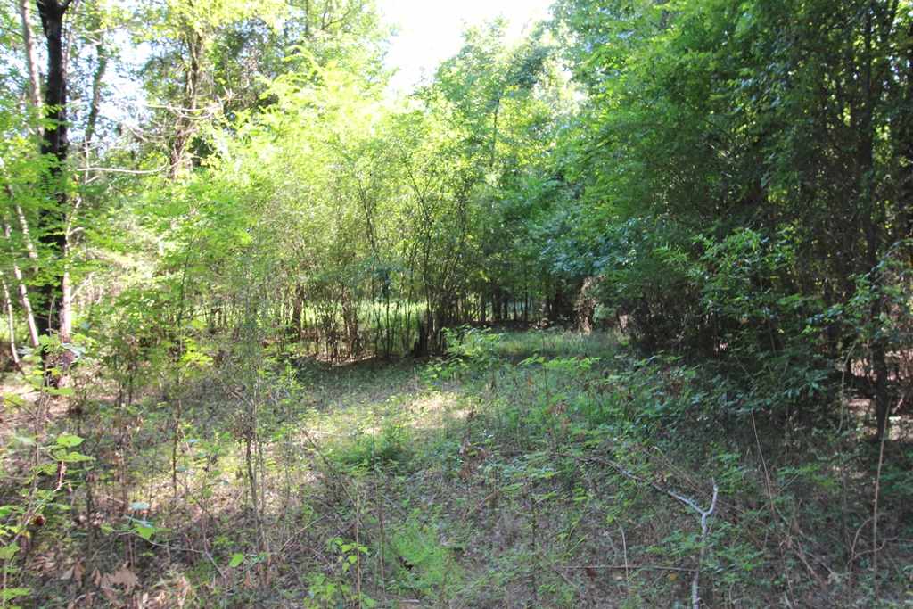 960  Doy B  Conway, AR