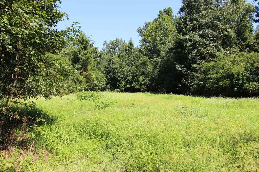 960  Doy B  Conway, AR