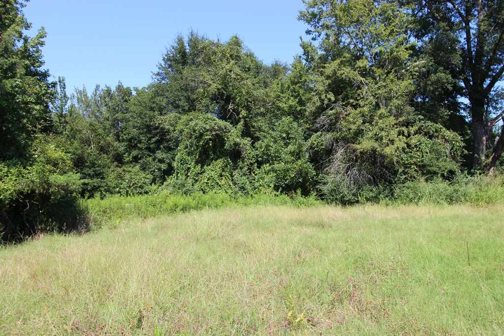 960  Doy B  Conway, AR