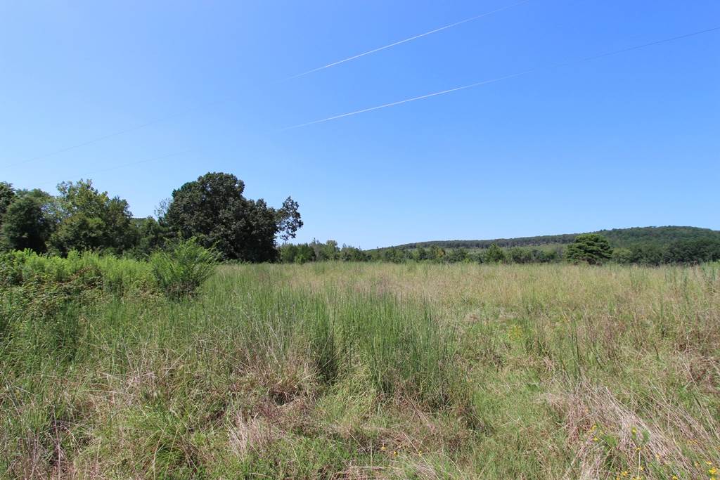 960  Doy B  Conway, AR