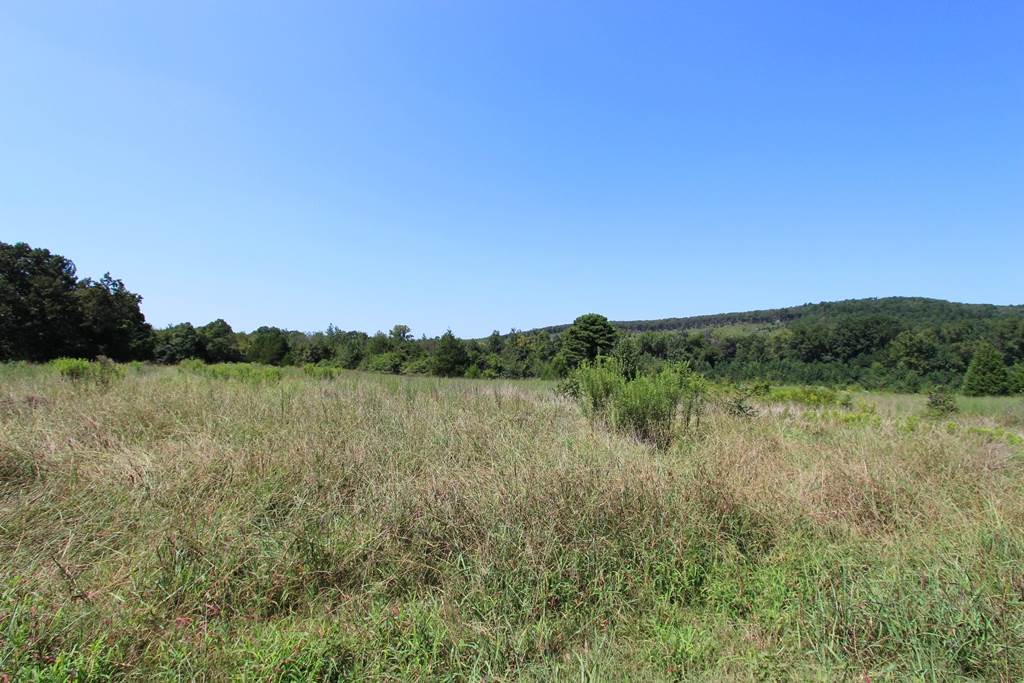 950  Doy B  Conway, AR