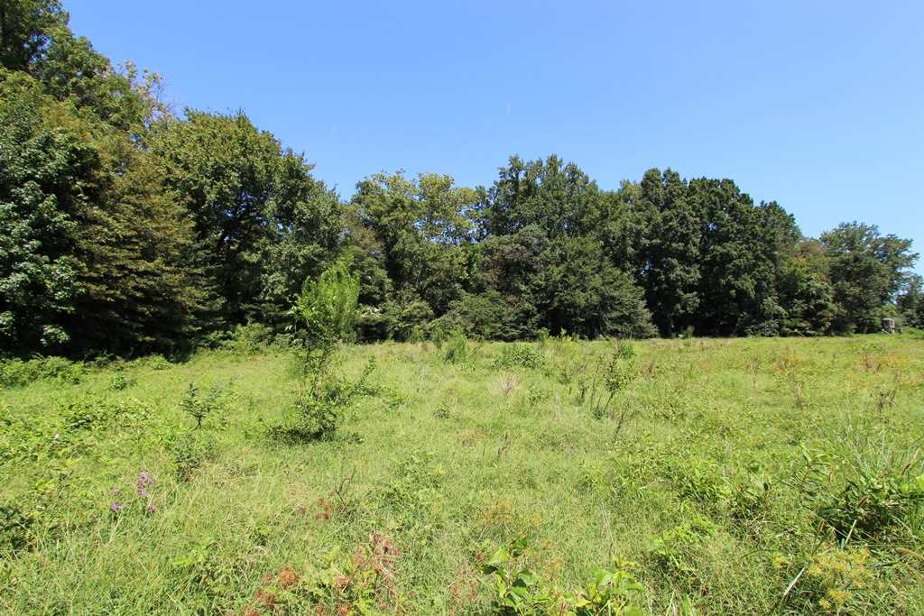 950  Doy B  Conway, AR