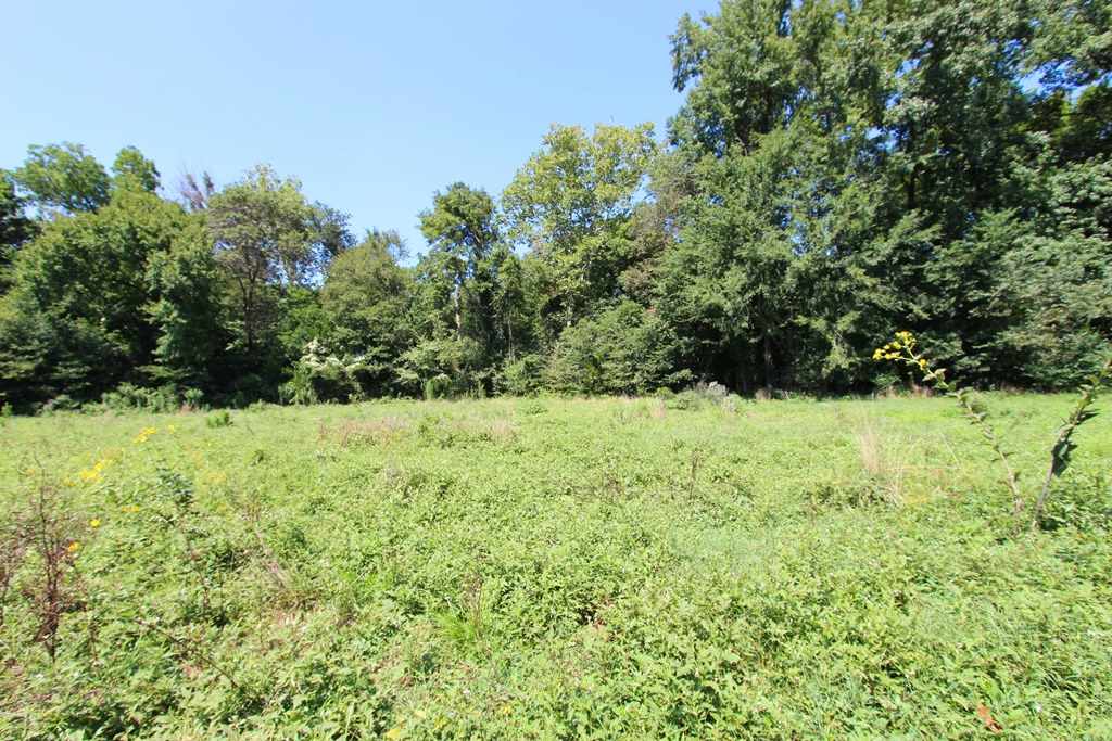 950  Doy B  Conway, AR