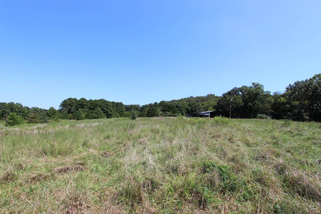 950  Doy B  Conway, AR