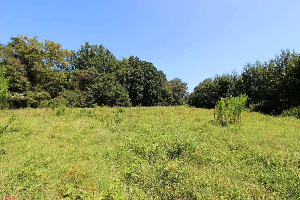 940  Doy B  Conway, AR