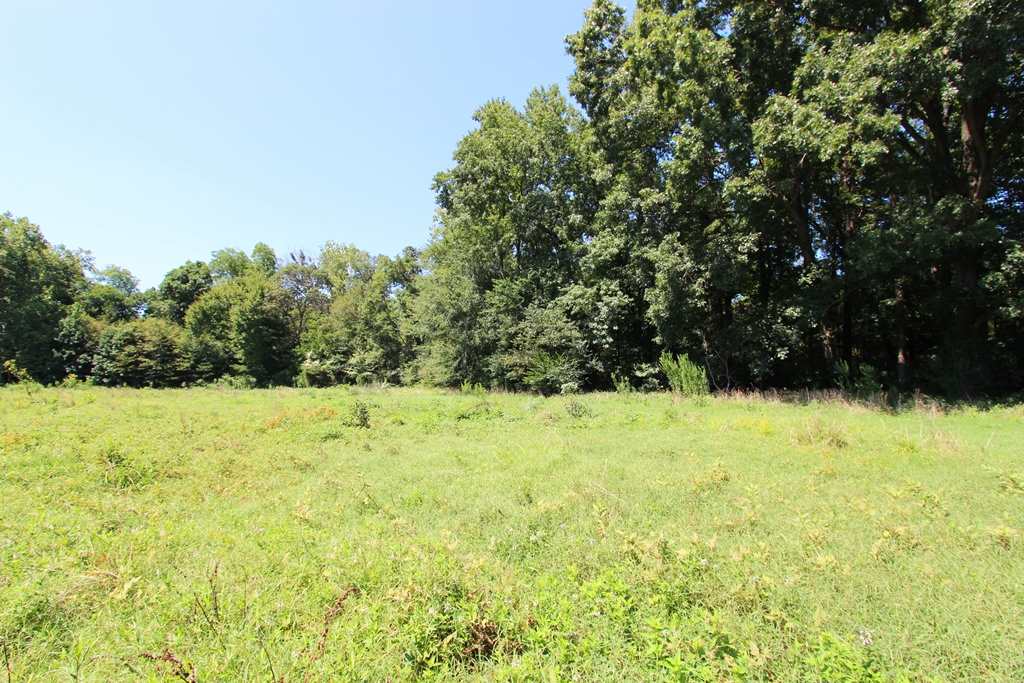 940  Doy B  Conway, AR