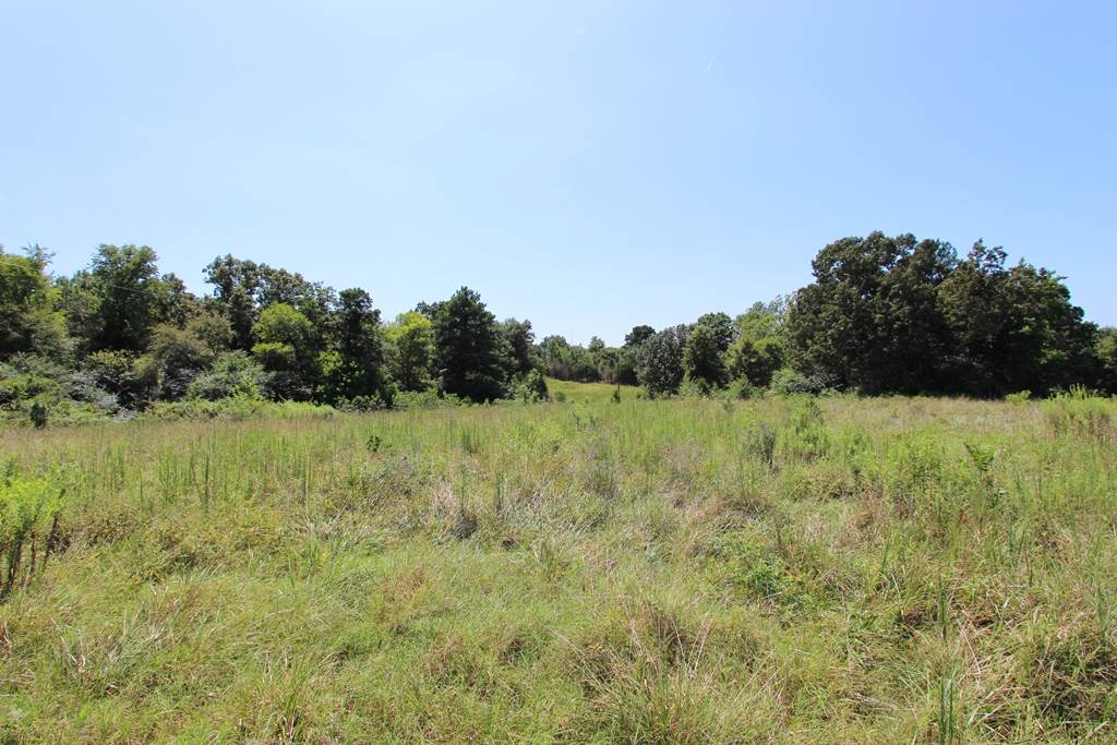 940  Doy B  Conway, AR