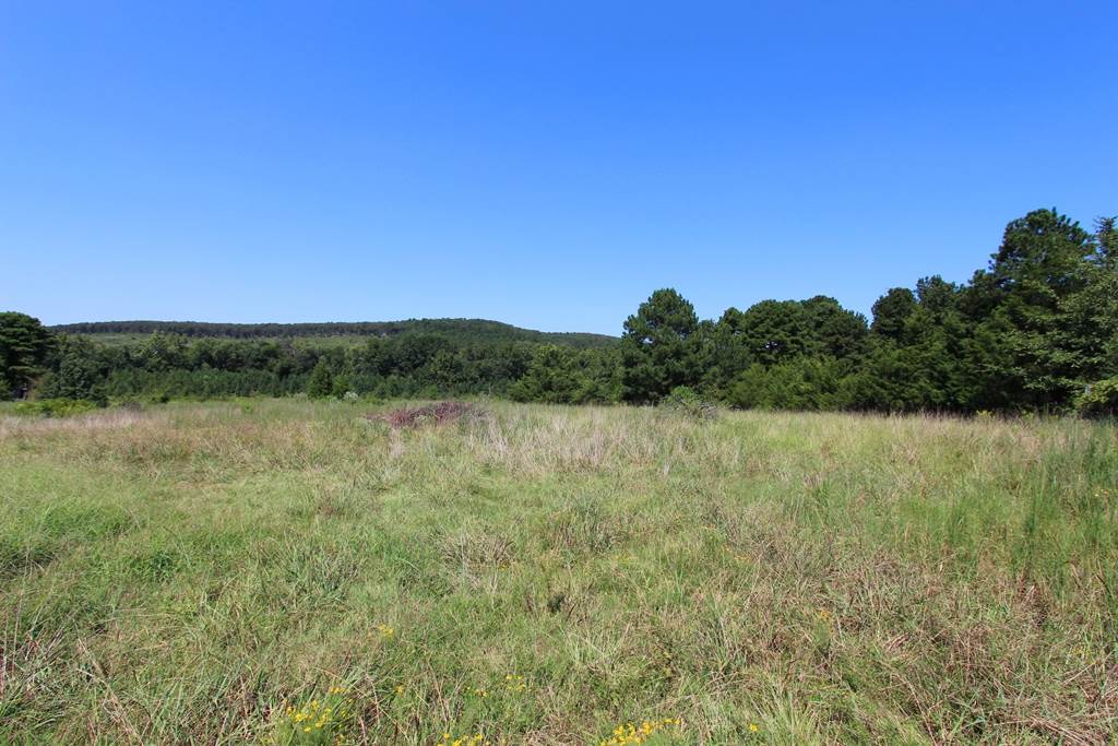 940  Doy B  Conway, AR