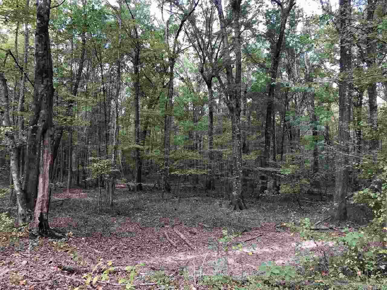 00 N Ridge  Morrilton, AR