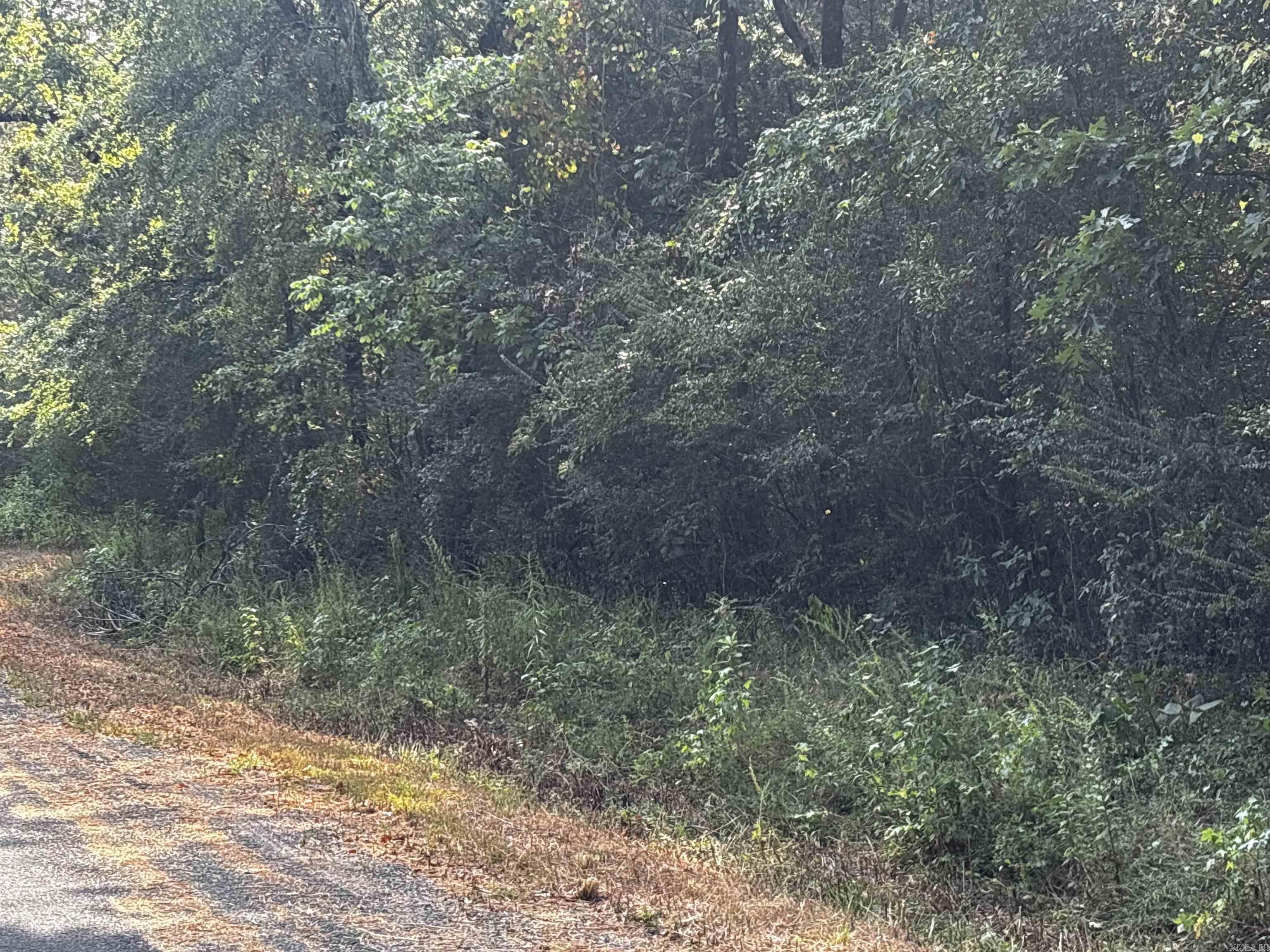 00 N Ridge  Morrilton, AR
