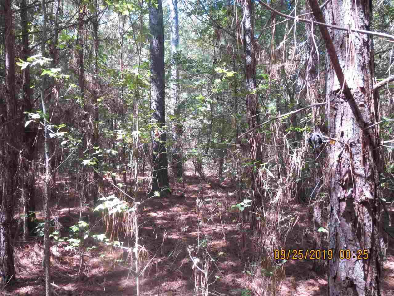 0001  Rural Coleman  Monticello, AR