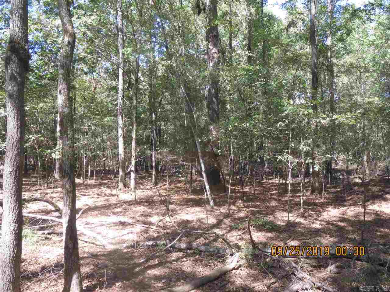 0001  Rural Coleman  Monticello, AR
