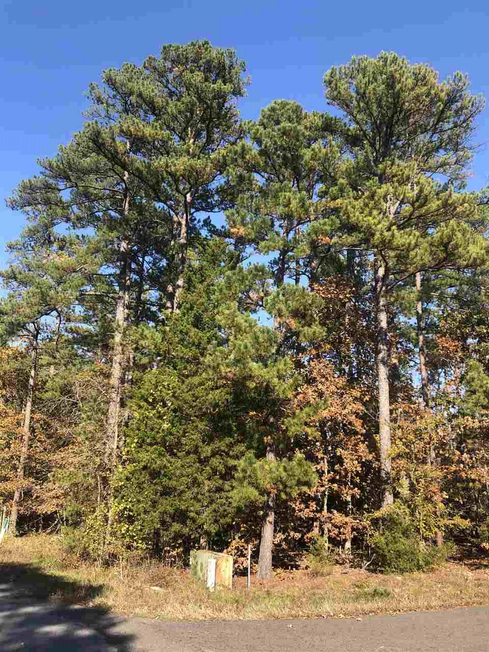 71  Pintuerero  Hot Springs Village, AR