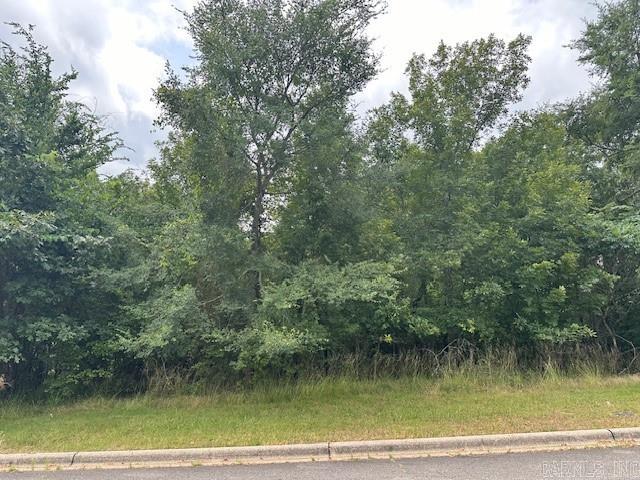 160  Oak Shores Circle Lot 26 Block 5 - Red Oak Circle Hot Springs, AR