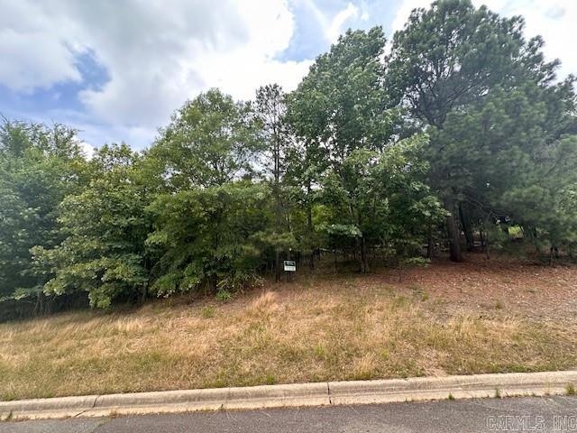 244  Oak Shores Circle Lot 29 Block 5 - Red Oak Circle Hot Springs, AR