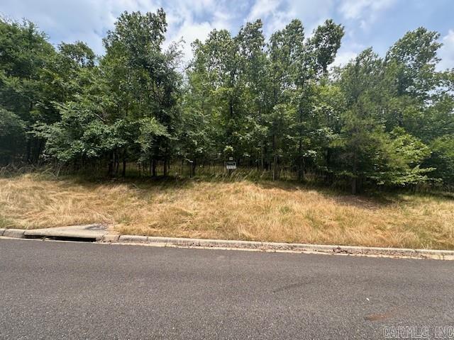 256  Oak Shores Circle Lot 30 Block 5 - Red Oak Circle Hot Springs, AR