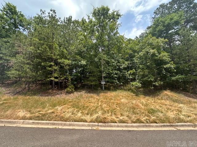280  Oak Shores Circle Lot 32 Block 5 Red Oak Circle Hot Springs, AR