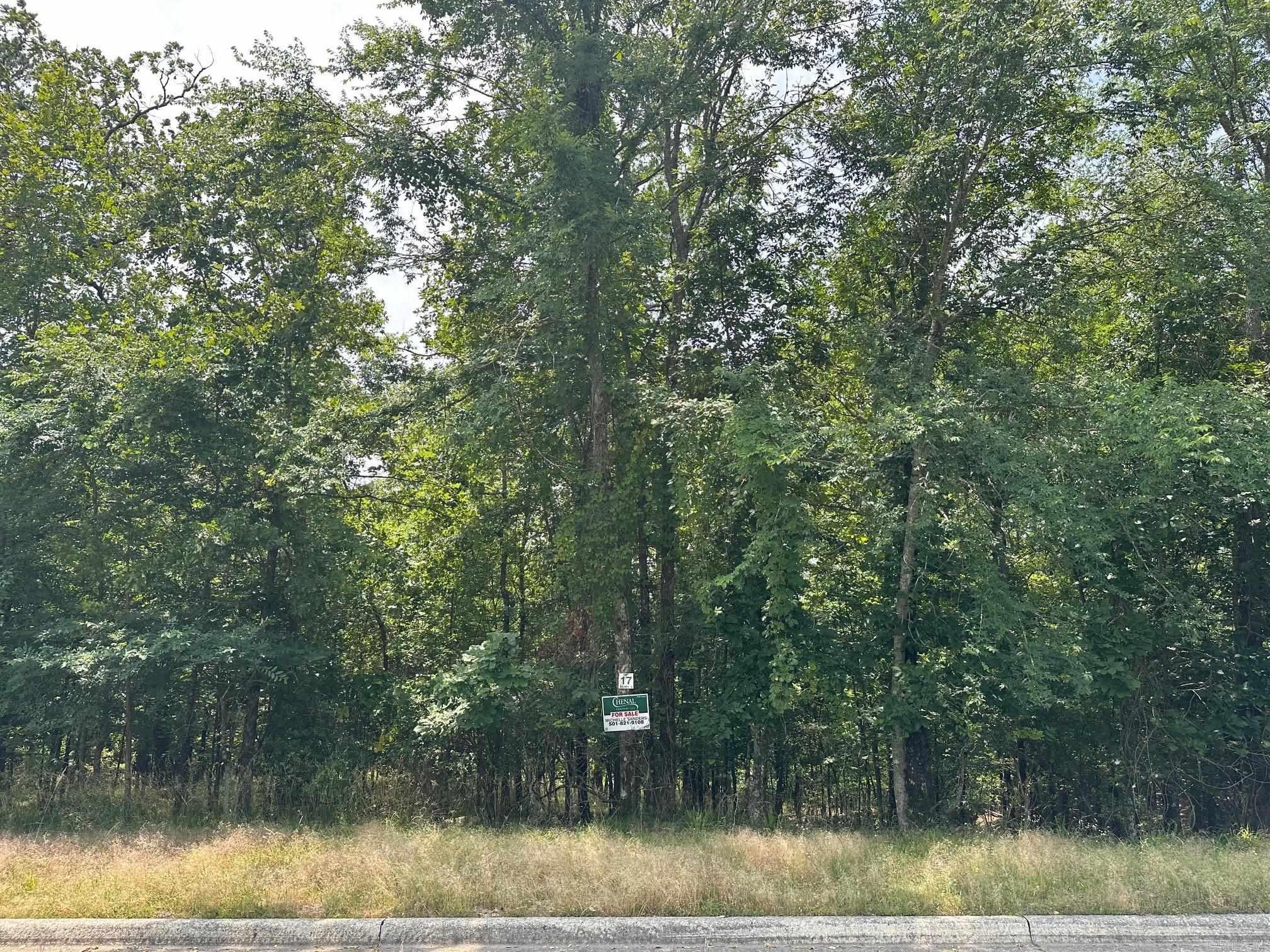 224  Dellmere Drive Lot 17 Blk 6 Dellmere Hot Springs, AR