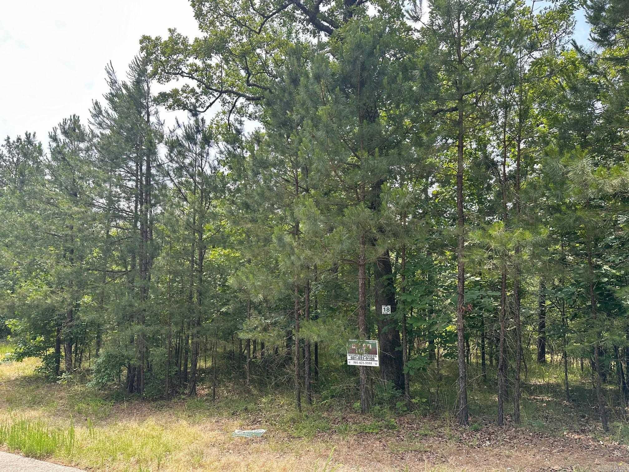 232  Dellmere Drive Lot 18 Blk 6 Dellmere Hot Springs, AR