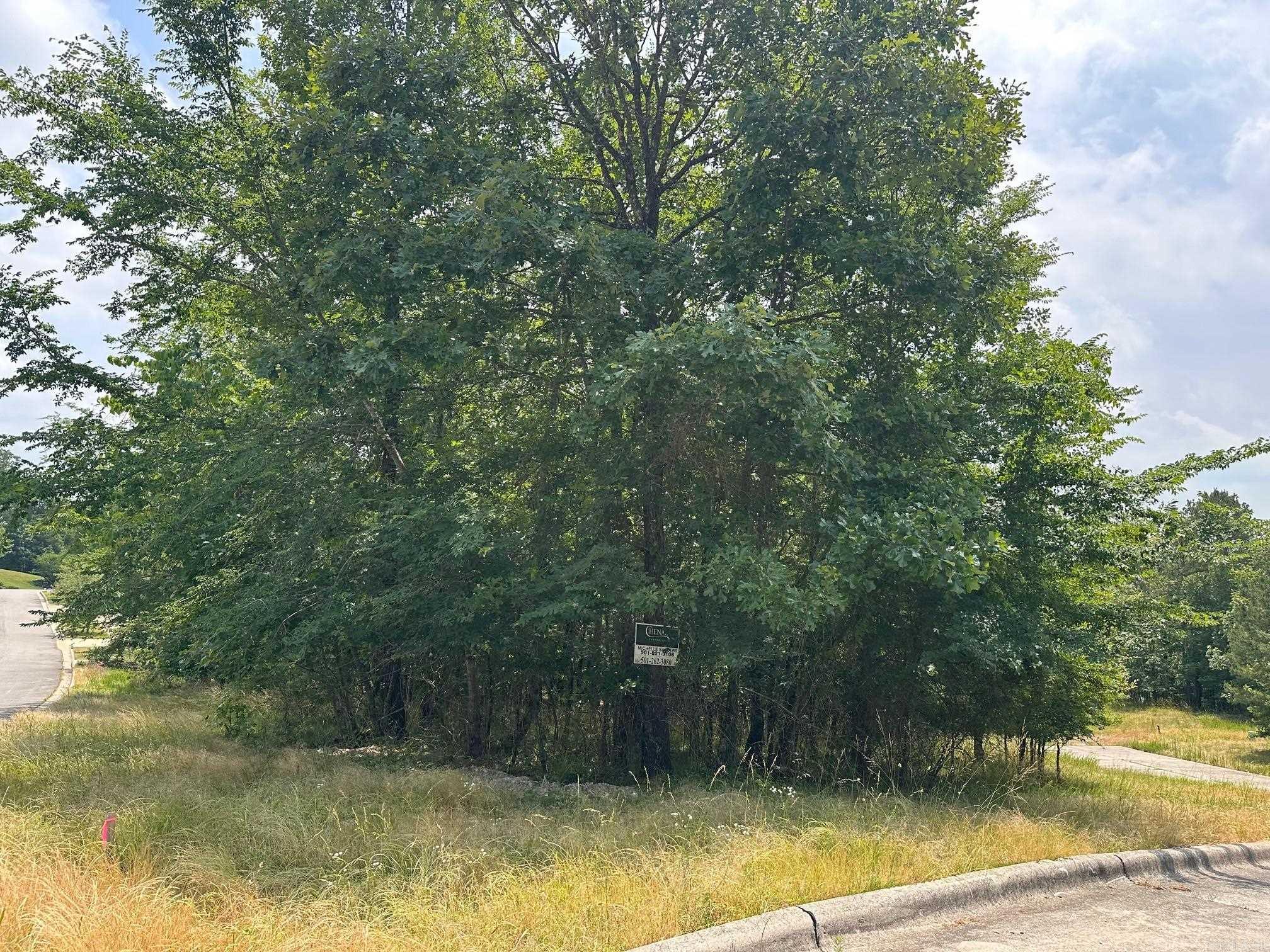 117  Dellmere Cove Lot 16 Blk 6 Dellmere Hot Springs, AR